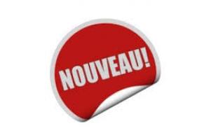 Présentation du nouveau site du club et speed dating pro